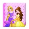 Servilletas papel 33cm Princess Dreaming (20 uds.)