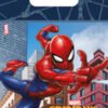 Bolsa Chuches/Juguetes Papel: Spiderman